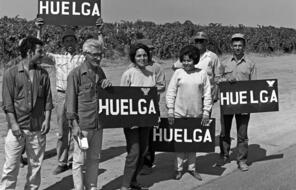 Dolores Huerta and others hold up "Huelga" signs as part of the grape strike.