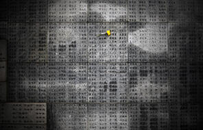 A flower is left on a wall engraved with victims names at the Memorial Hall of the Victims in the Nanjing Massacre.