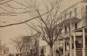 A tree-lined street, circa 1862.