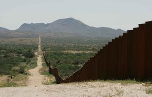 Long  border fence. 
