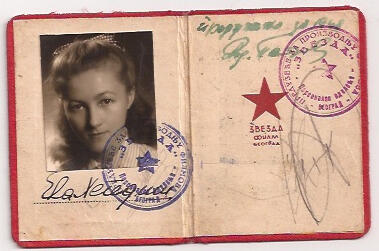 Ava Kadishson Schieber's work identity card, 1946-1949.
