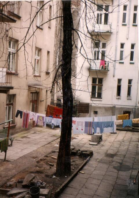 Tree Planted between buildings