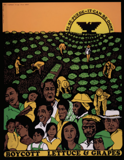 Cesar Chavez continued to keep the sweatshop conditions of farm labor in the nation’s eye as he organized the United Farm Workers of America during the 1960s. This UFW poster urged consumers to show their support for the UFW by refusing to buy lettuce and grapes.