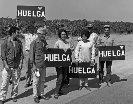 Dolores Huerta and others hold up "Huelga" signs as part of the grape strike.